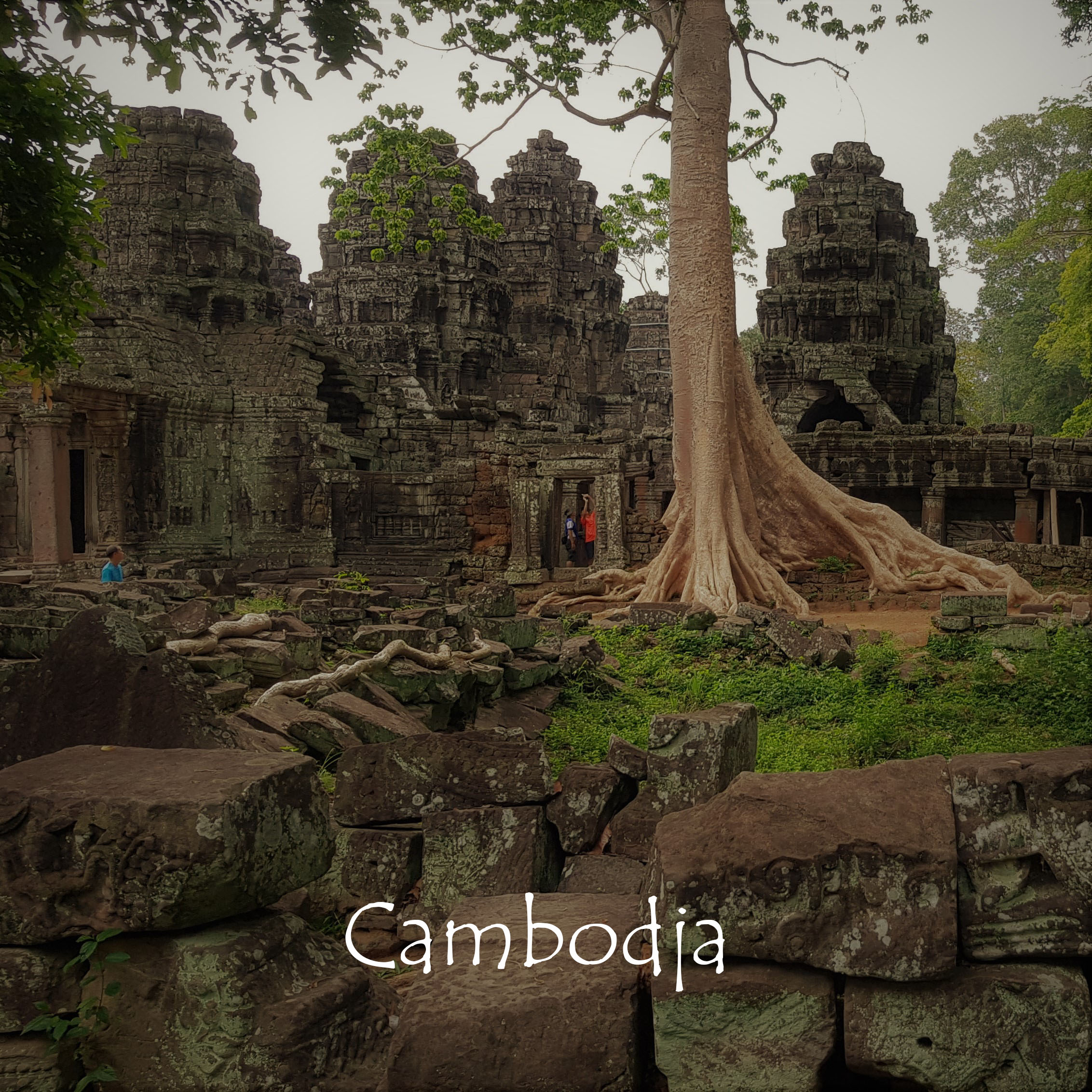 cambodja reis