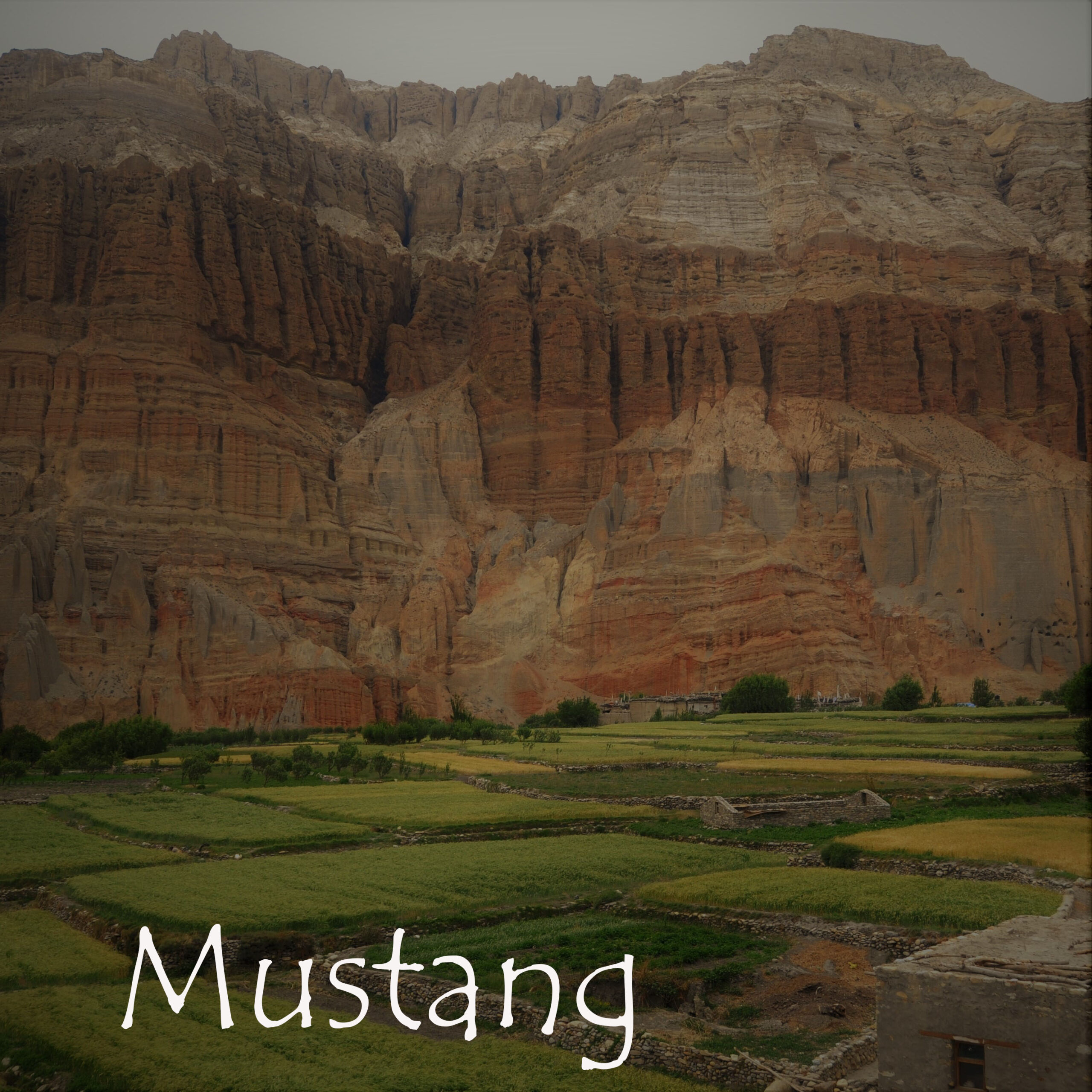 Mustang nepal