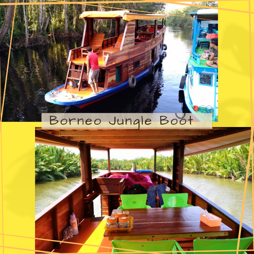 boottocht Borneo jungle