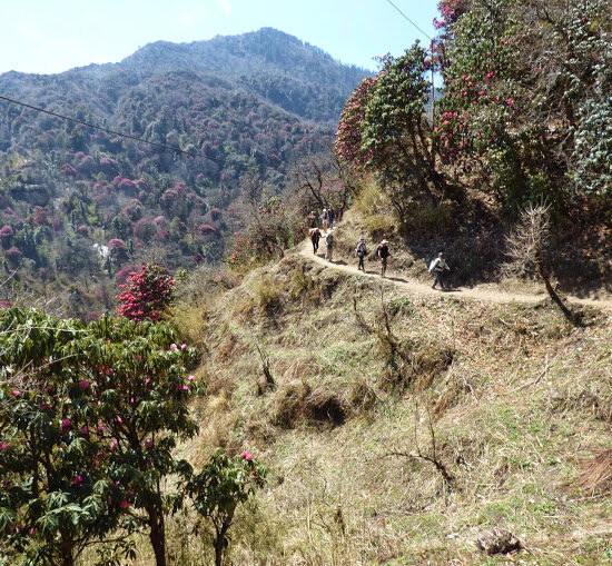 poon hill trekking