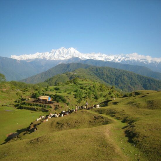 homestay nepal