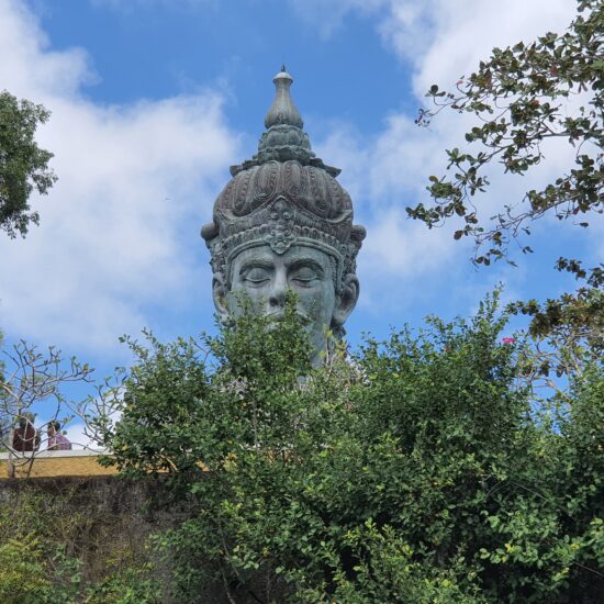 Vishnu Bali